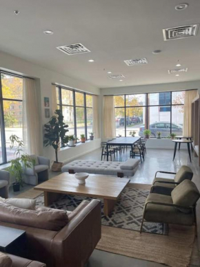 Modern Apartment in Pilsen